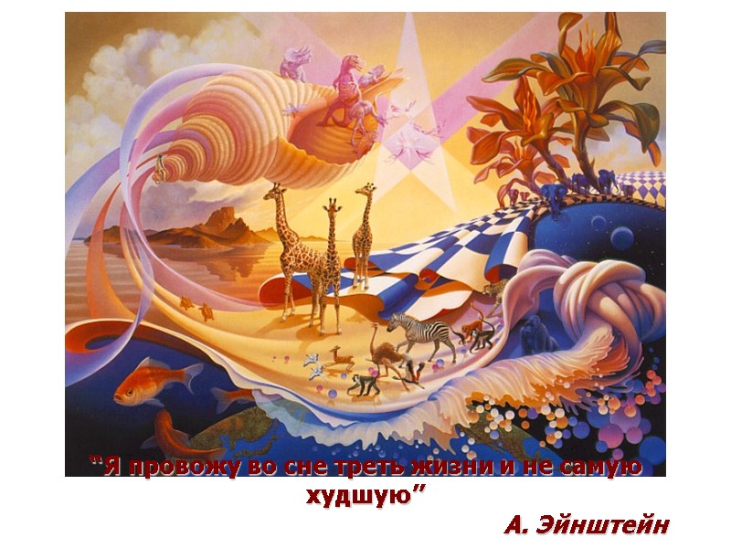 “Я провожу во сне треть жизни и не самую худшую”    